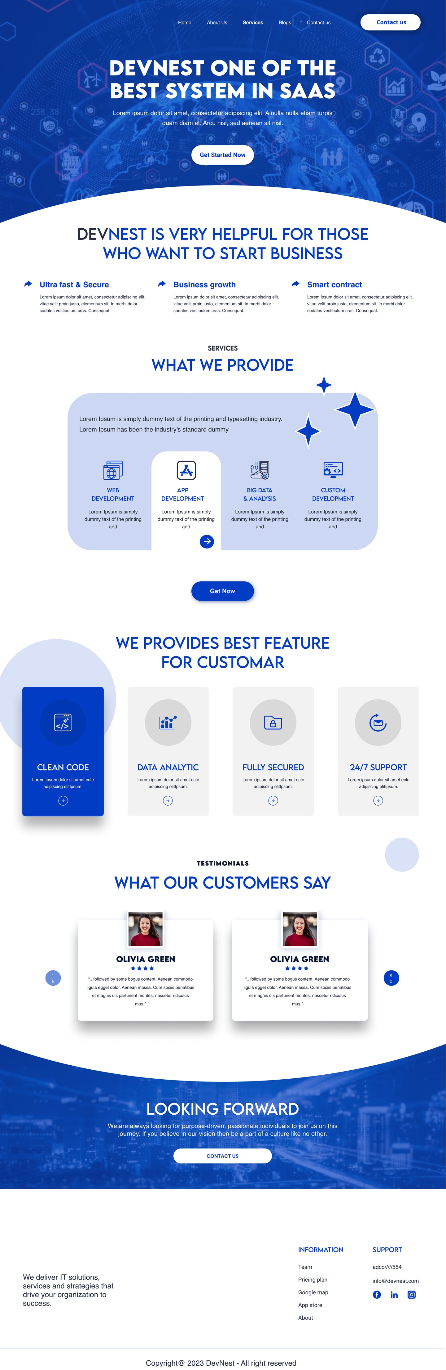 Full-length Devnest Cobalt SaaS website services page design with a pale blue panel of service tabs and a row of feature cards with one filled in blue.
